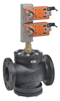 Globe Valve